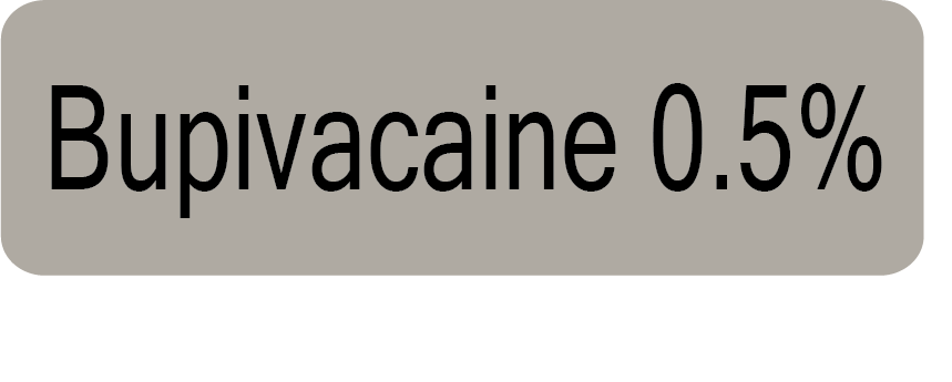 ALS/LA-03N Bupivacaine 0.5% - Black on Grey, PAPER, 100 Per Pack, Gamma Sterilized