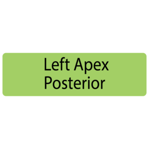 Left Apex Posterior, 40 x 12, PAPER, Black print on Green Label, 800 per roll