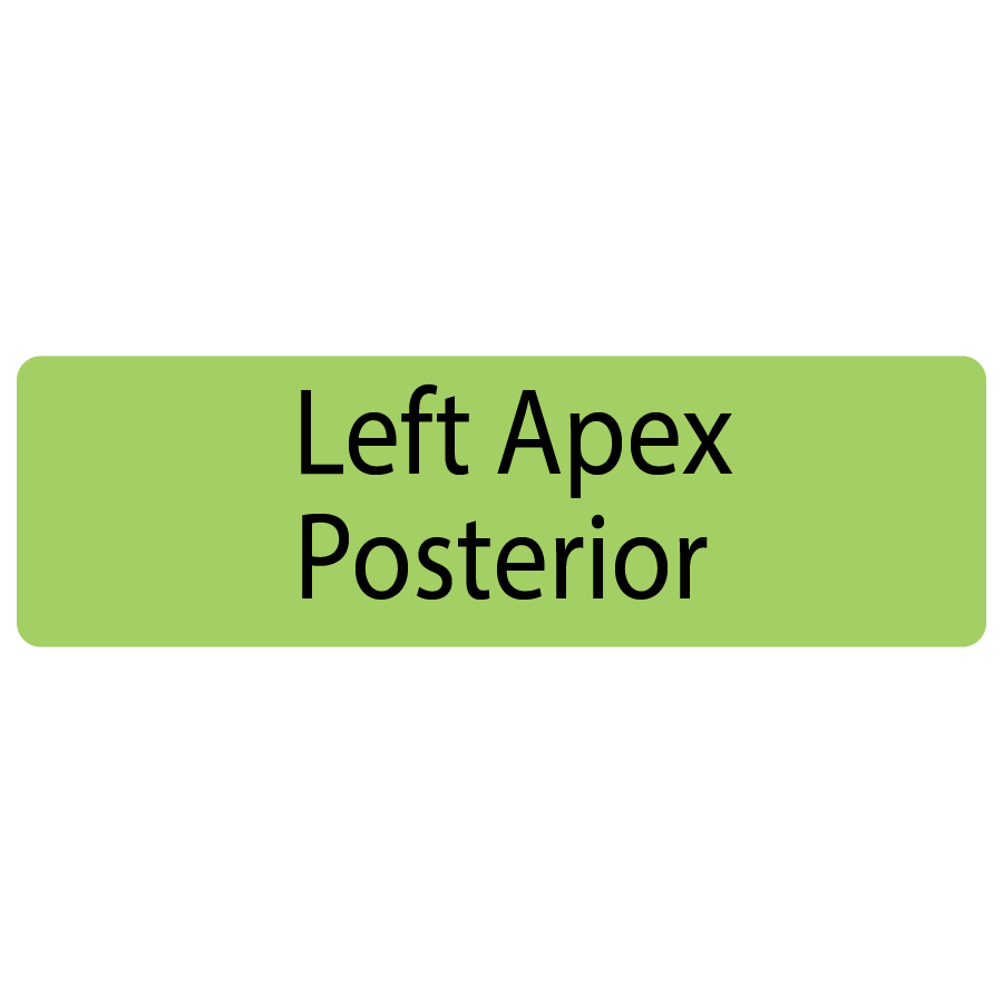 Left Apex Posterior, 40 x 12, PAPER, Black print on Green Label, 800 per roll